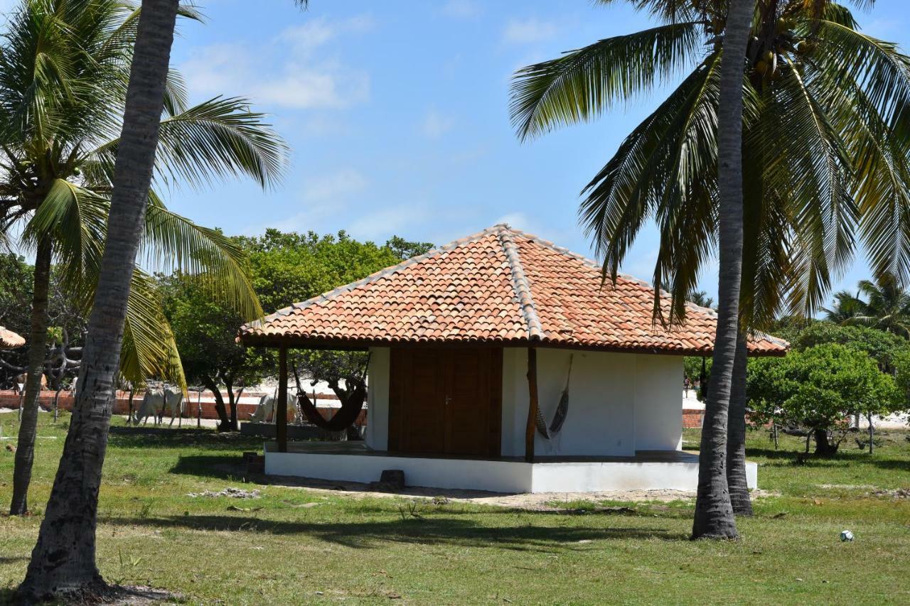 Velho Bateau 2*